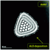 TOC Control over in-channel mesostructure orientation through AAM surface modifications